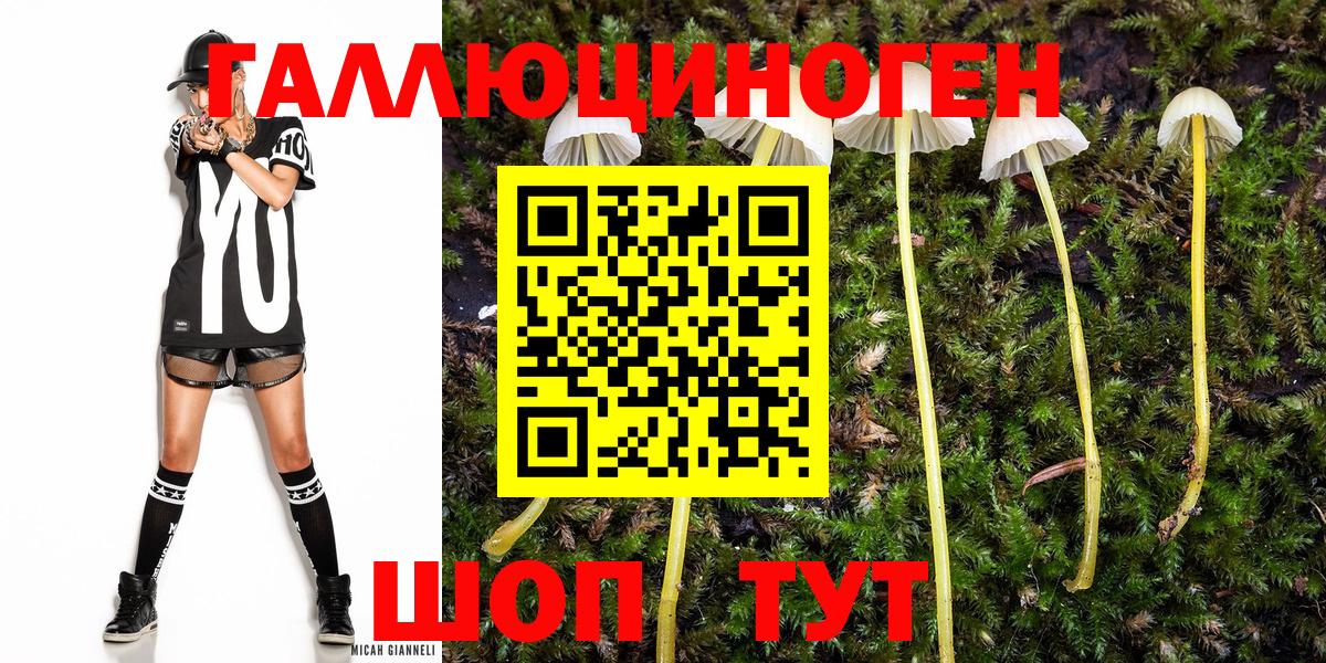 Нововоронеж  Галлюциногенные грибы MAGIC MUSHROOMS  Вход с VPN 