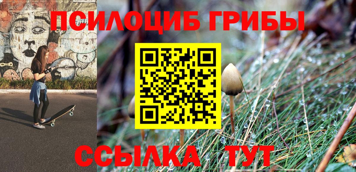 Галлюциногенные грибы MAGIC MUSHROOMS Нововоронеж